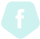 icon facebook